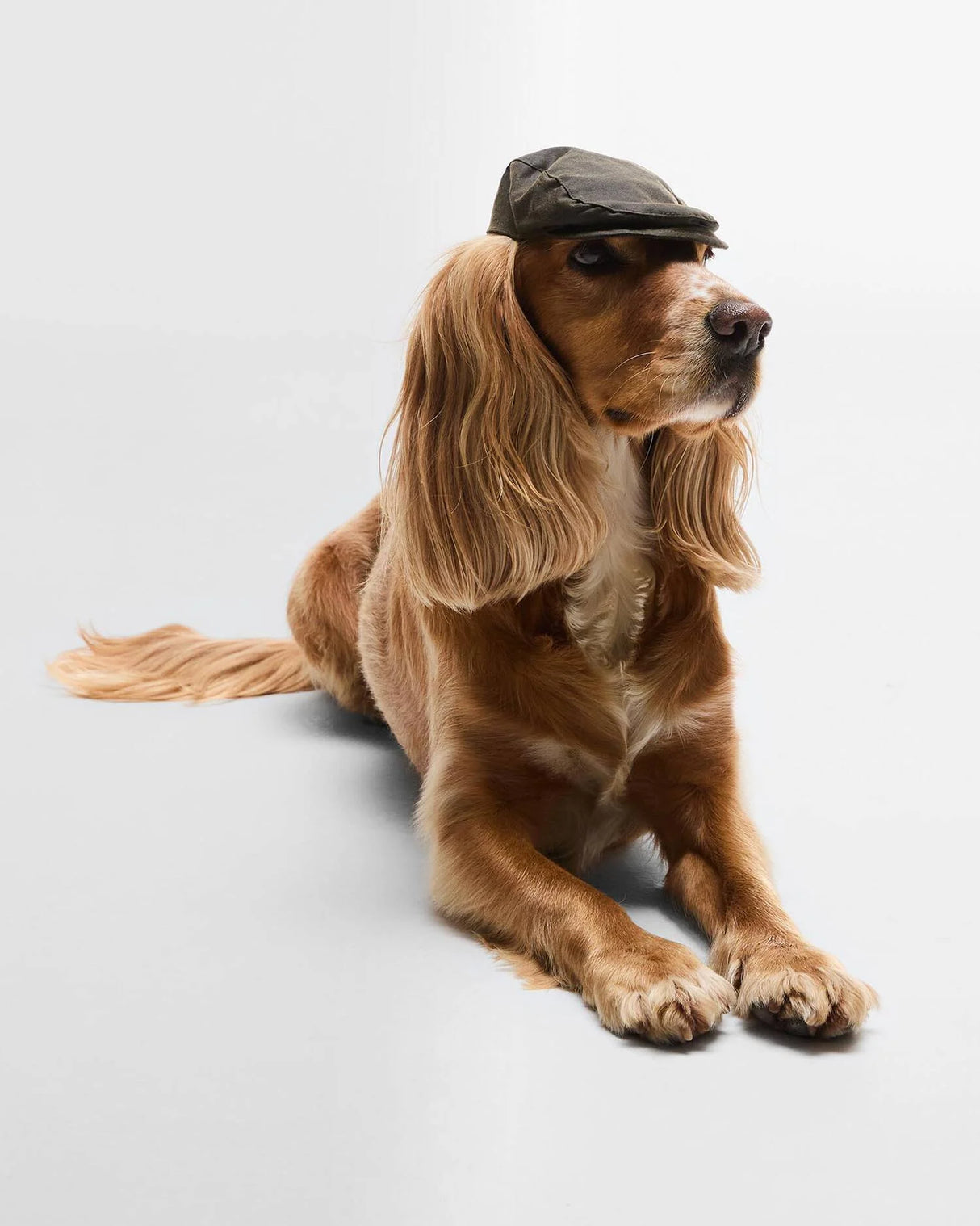 BARBOUR Dog Wax Flat Cap - Olive