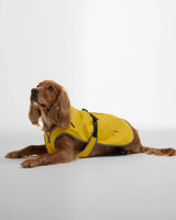 BARBOUR Evie Waterproof Dog Coat - Limeade