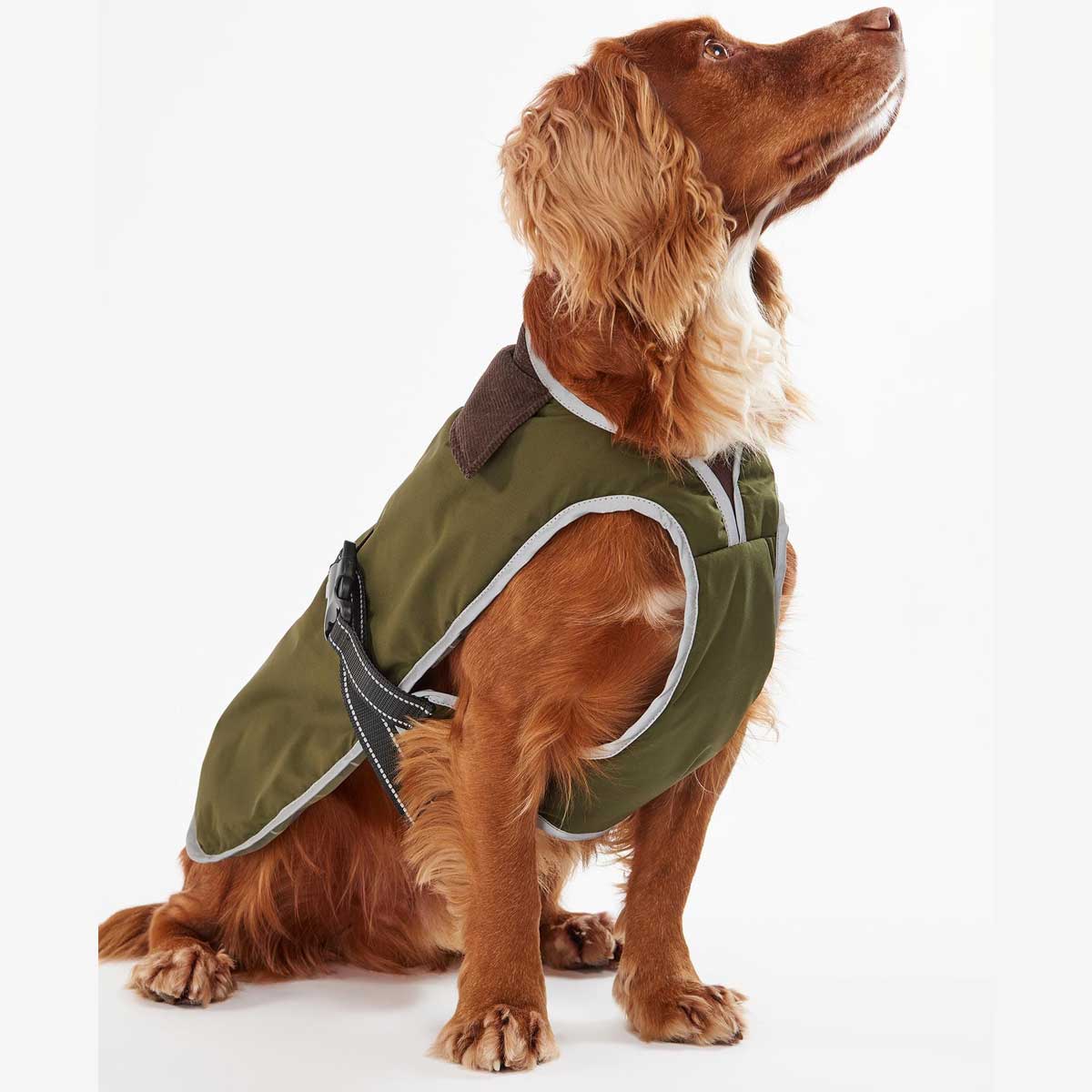 BARBOUR Monmouth Waterproof Dog Coat - Olive