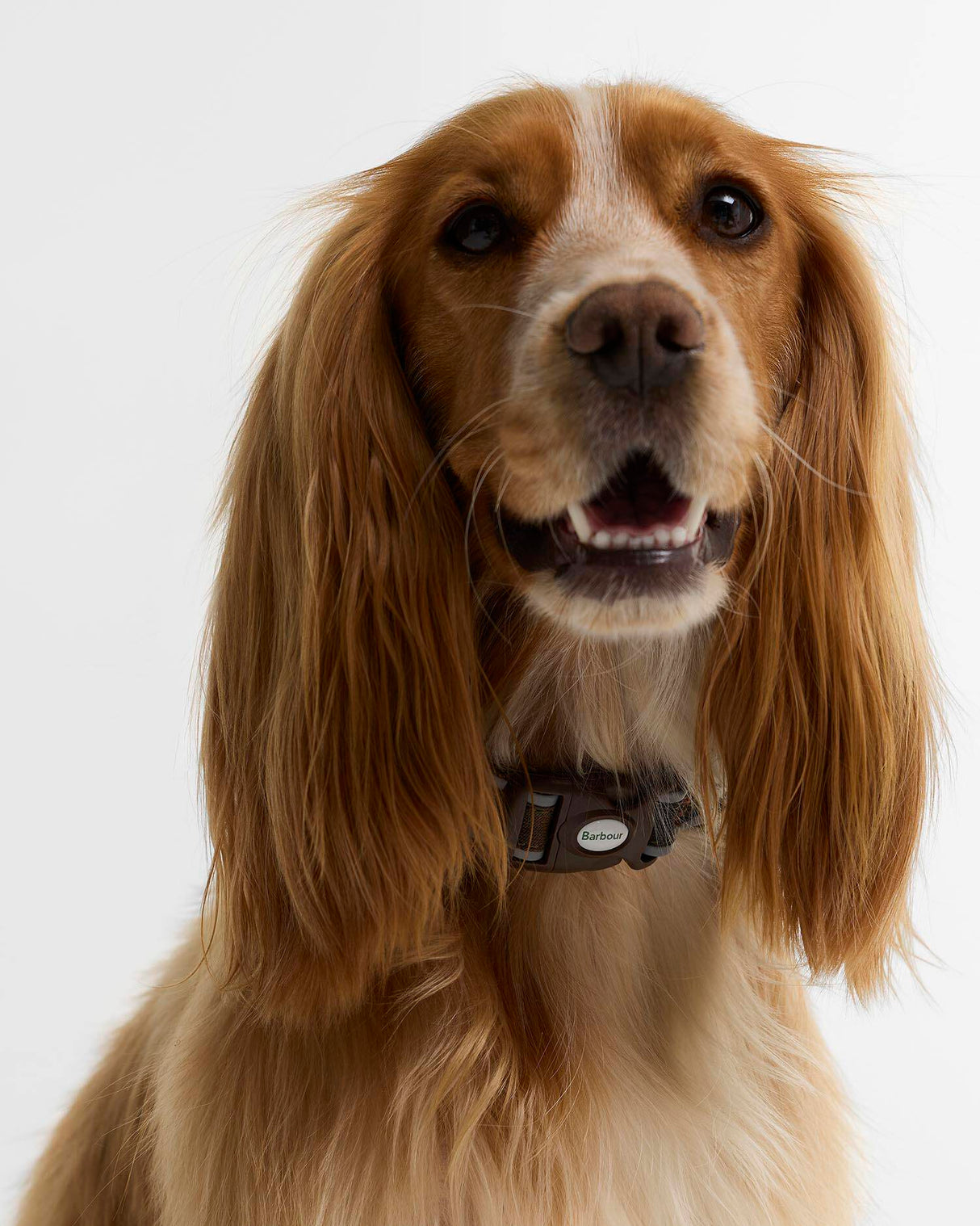 BARBOUR Reflective Tartan Dog Collar - Classic Tartan