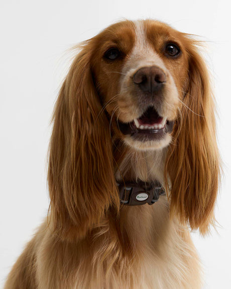 BARBOUR Reflective Tartan Dog Collar - Classic Tartan