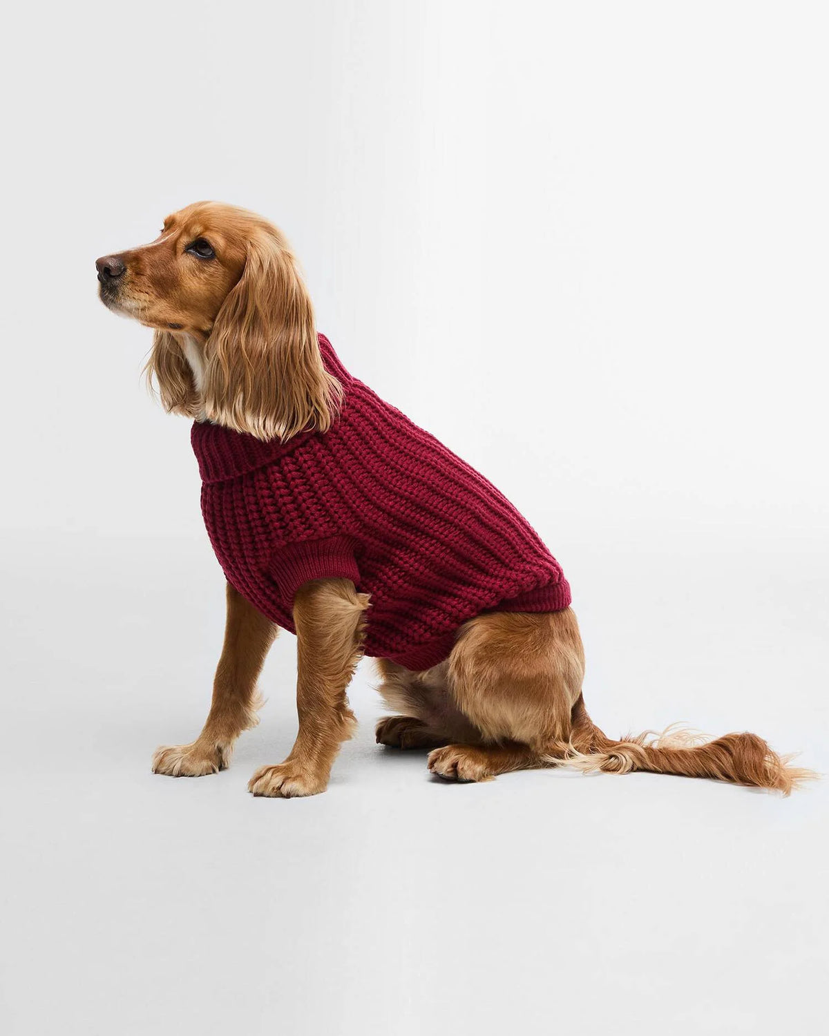 BARBOUR Saltburn Dog Jumper - Biking Red