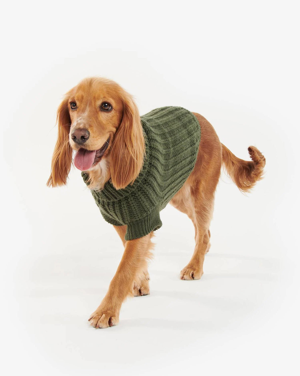 BARBOUR Saltburn Dog Jumper - Olive