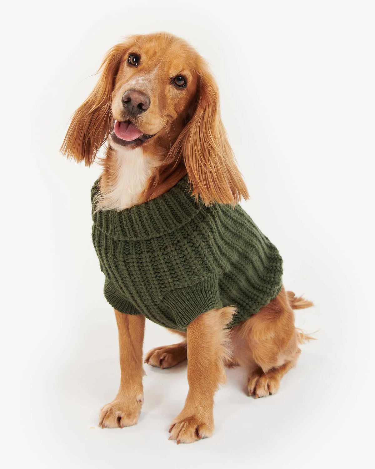 BARBOUR Saltburn Dog Jumper - Olive