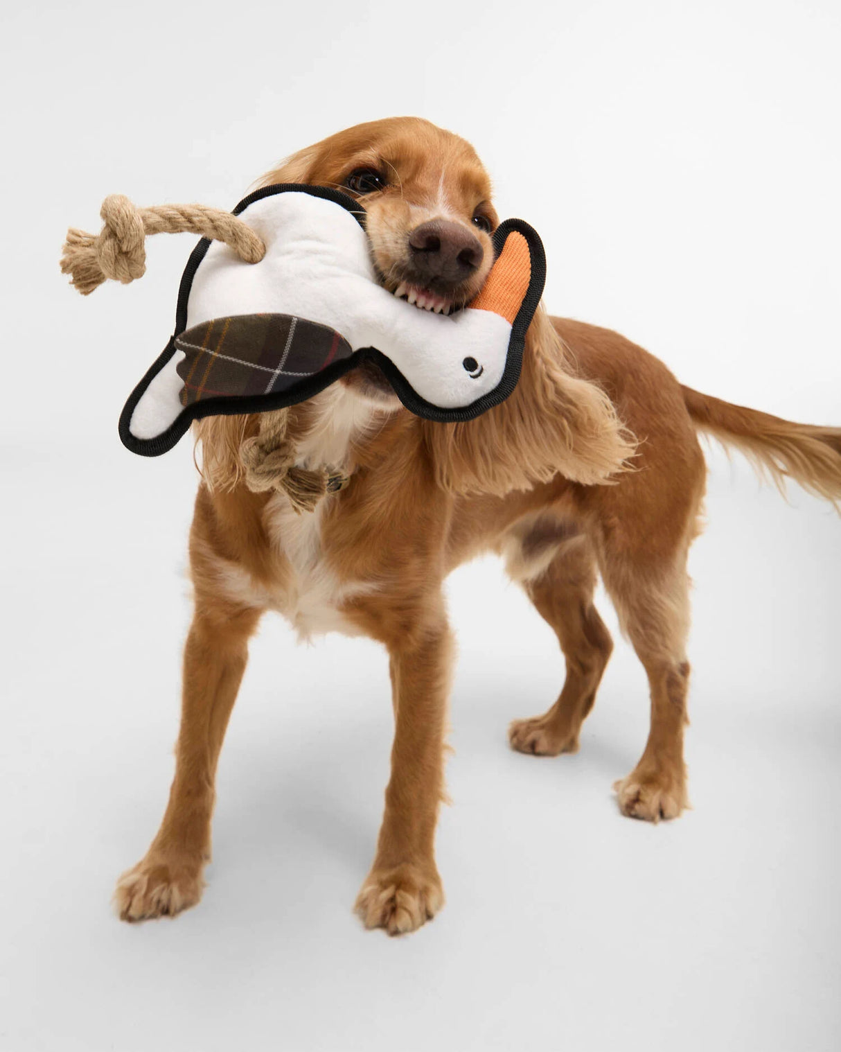 BARBOUR Pheasant Dog Toy