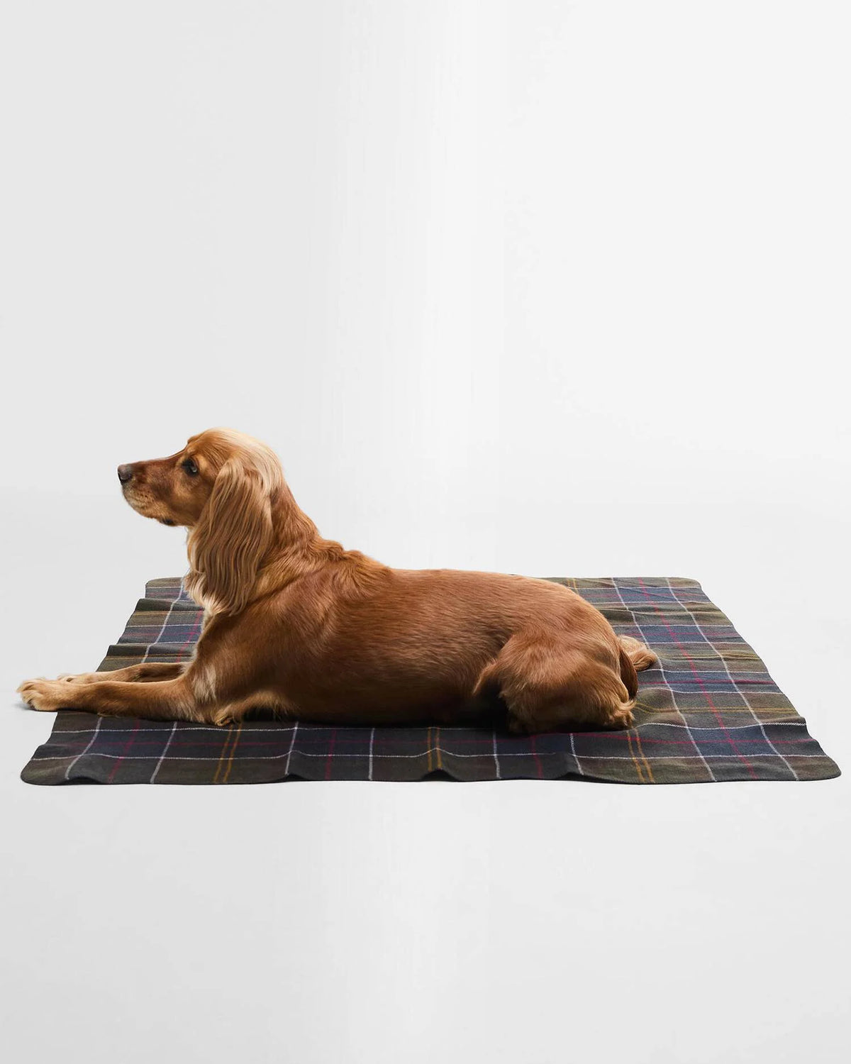 BARBOUR Tartan Dog Blanket - Classic Tartan