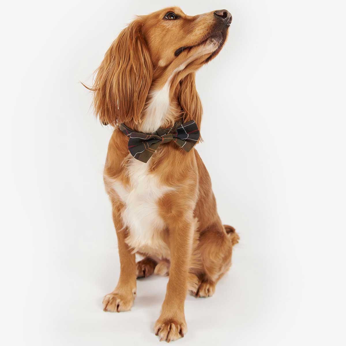 BARBOUR Tartan Dog Bow Tie
