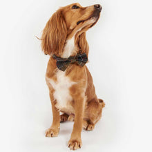 Load image into Gallery viewer, BARBOUR Tartan Dog Bow Tie
