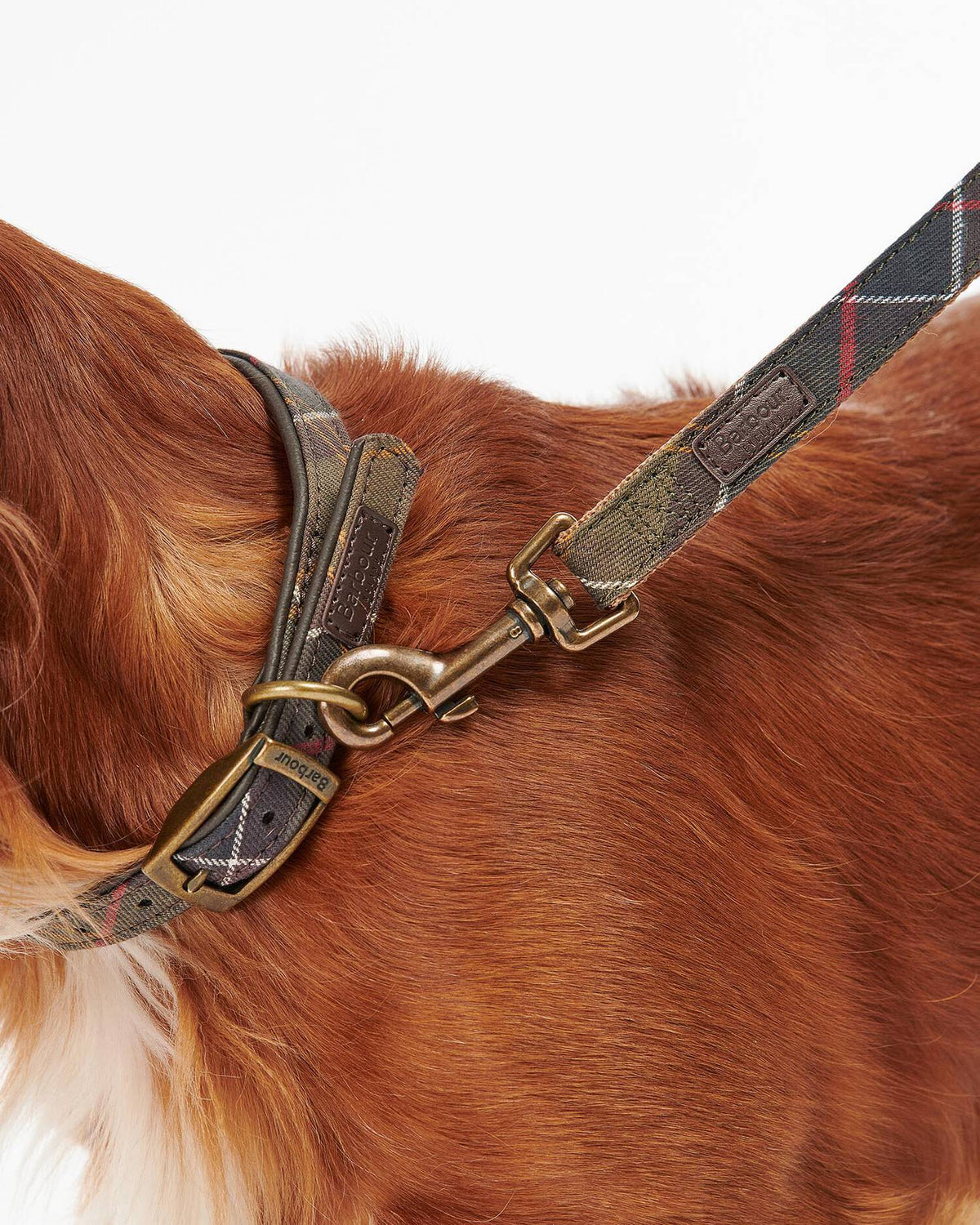 BARBOUR Tartan Webbing Dog Lead - Classic Tartan