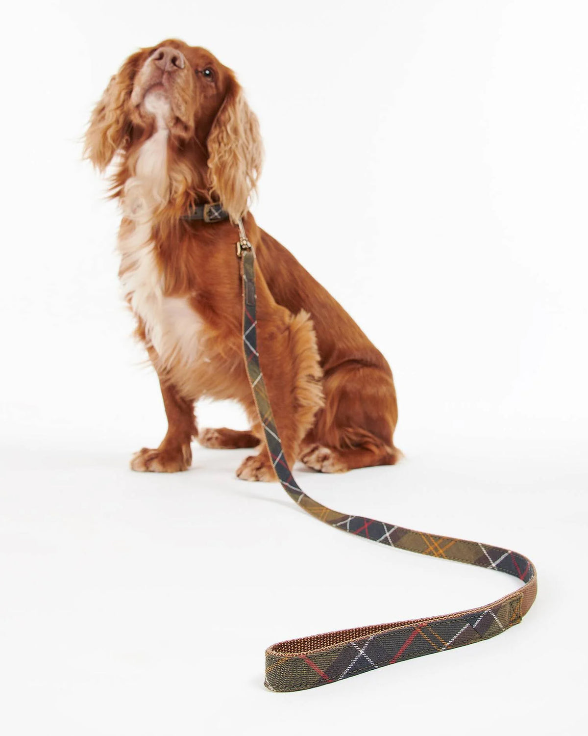 BARBOUR Tartan Webbing Dog Lead - Classic Tartan