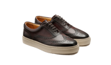 BARKER Owen Shoes - Men's Brogue Sneaker - Mocha Calf