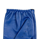 DENTS Delta Men's Classic Leather Driving Gloves - Royal Blue & Black
