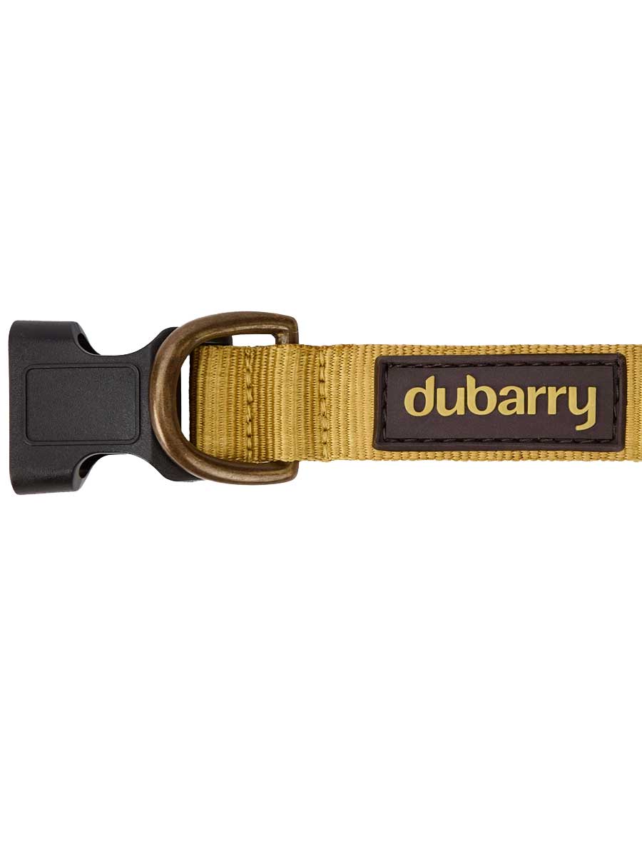 DUBARRY Apollo Nylon Dog Collar - Gold