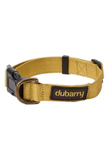 DUBARRY Apollo Nylon Dog Collar - Gold