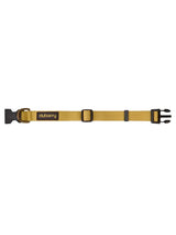 DUBARRY Apollo Nylon Dog Collar - Gold