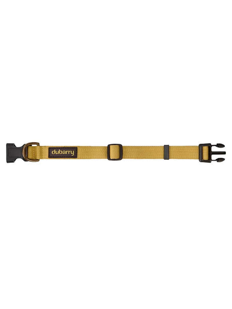 DUBARRY Apollo Nylon Dog Collar - Gold