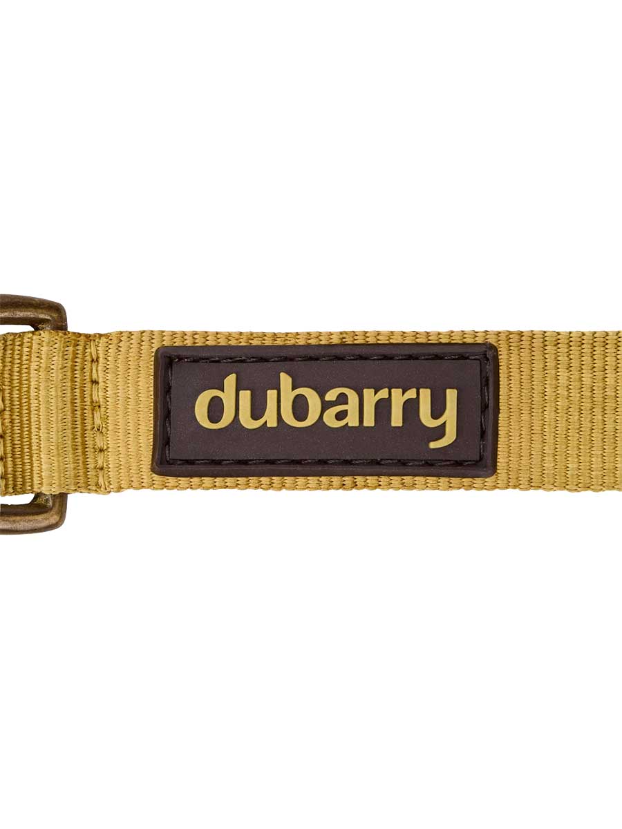 DUBARRY Apollo Nylon Dog Collar - Gold