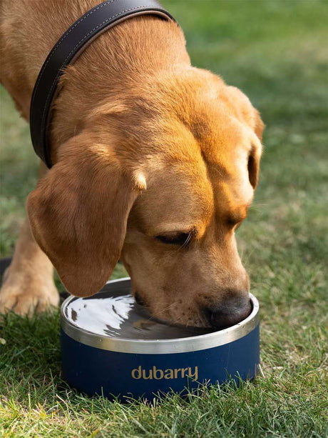 DUBARRY Archie Dog Bowl - Navy