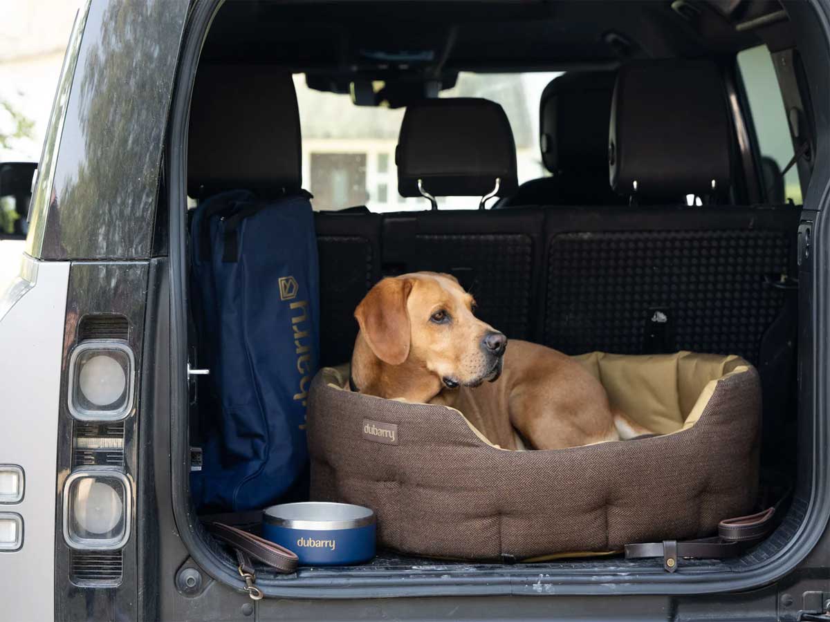 DUBARRY Buster Tweed Reversible Dog Bed - Mocha