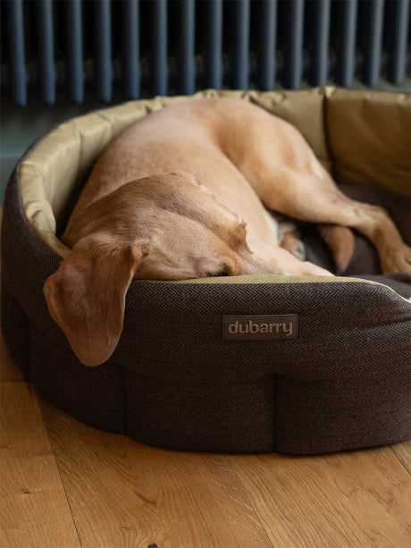 DUBARRY Buster Tweed Reversible Dog Bed - Mocha