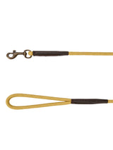 DUBARRY Charlie Nylon Clip Dog Lead - Gold