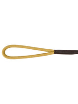 DUBARRY Charlie Nylon Clip Dog Lead - Gold