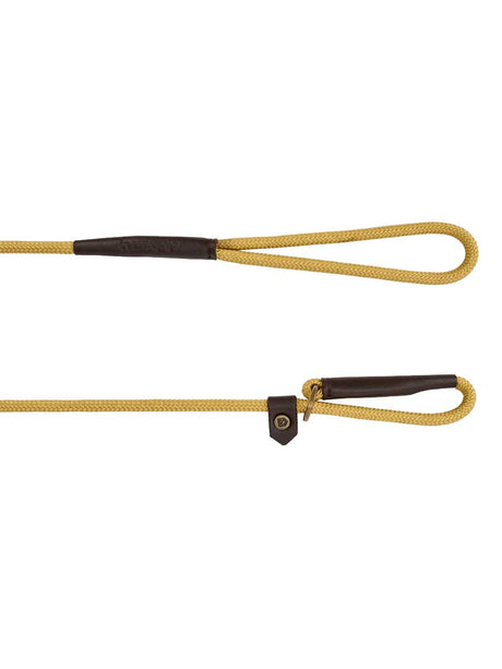 DUBARRY Marley Nylon Slip-Neck Dog Lead - Gold