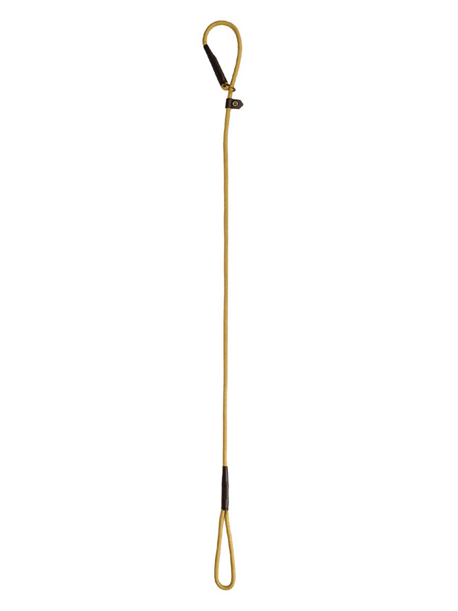 DUBARRY Marley Nylon Slip-Neck Dog Lead - Gold