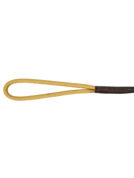 DUBARRY Marley Nylon Slip-Neck Dog Lead - Gold