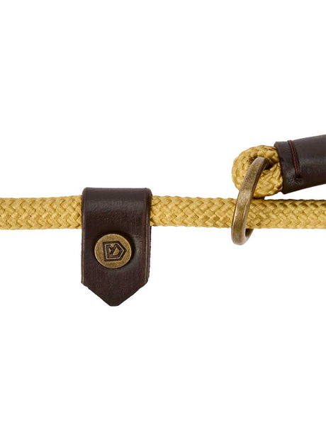 DUBARRY Marley Nylon Slip-Neck Dog Lead - Gold