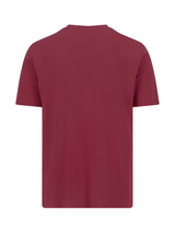 FYNCH HATTON Sanforized Cotton T-Shirt - Men's – Grape - view 6