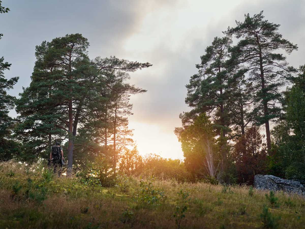 HARKILA NOCTYX Camo T-Shirt - Mens - AXIS MSP Black