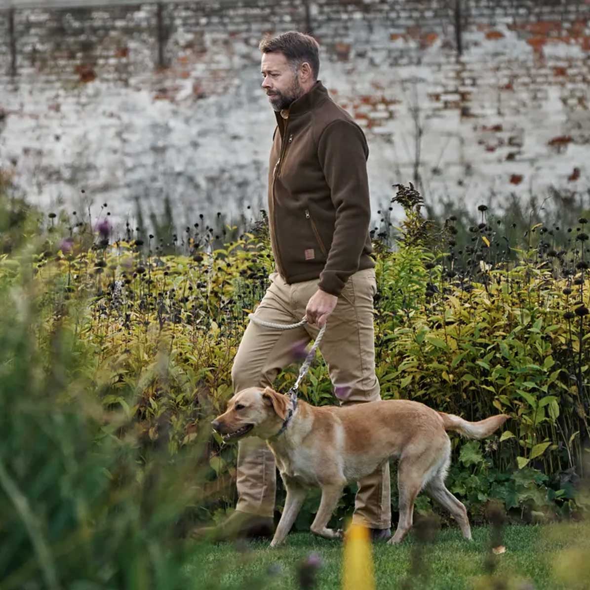 A man in a brown fleece jacket and khaki pants walks a tan dog on a leash through a grassy garden with a white brick wall in the background.