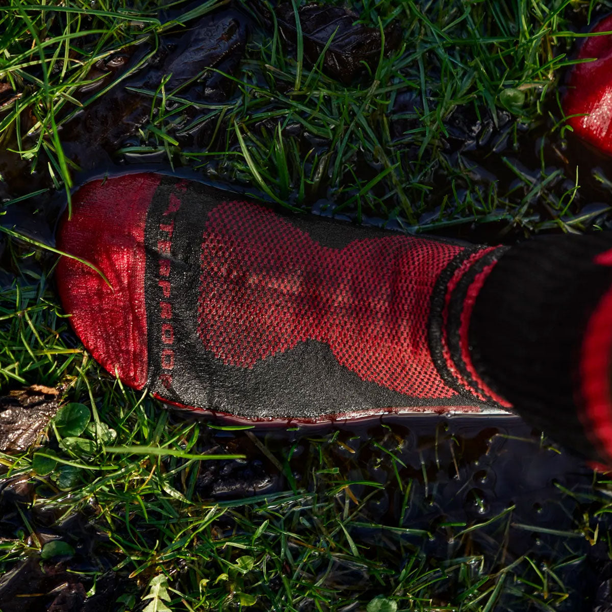 HARKILA Waterproof Socks - Merino Wool - Red / Black