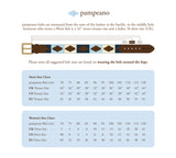 PAMPEANO Suede Polo Belt - Confianza Brown - image 2