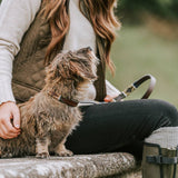 Pampeano Leather Dog Collar - Caza