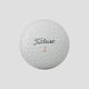 TITLEIST Velocity Golf Balls - White / Dozen