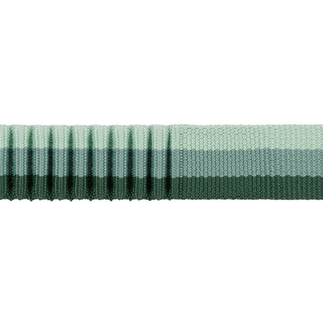 RUFFWEAR Roamer Bungee Dog Running Lead - River Rock Green Ruffwear