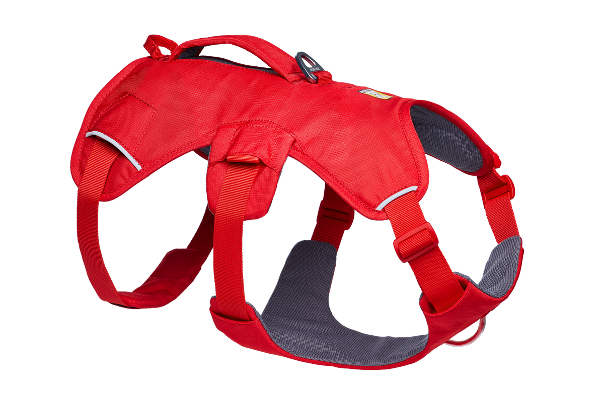 Ruffwear Web Master Dog Harness with Handle