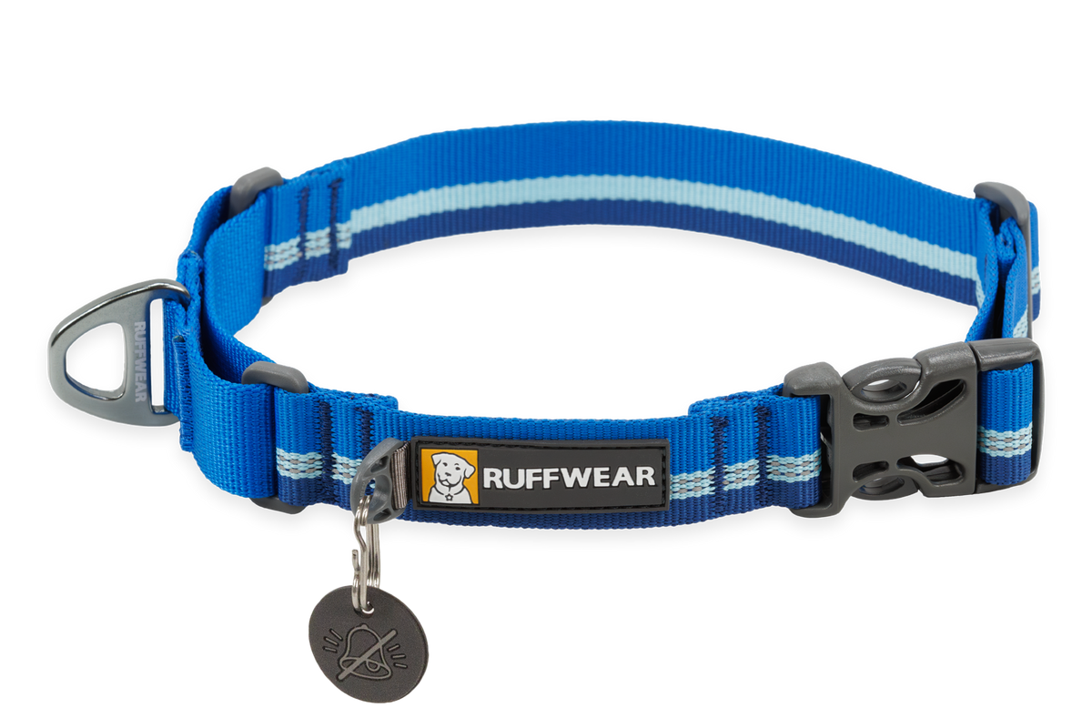 Ruffwear Web Reaction Martingale Dog Collar with Buckle