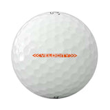 TITLEIST Velocity Golf Balls - White / Dozen