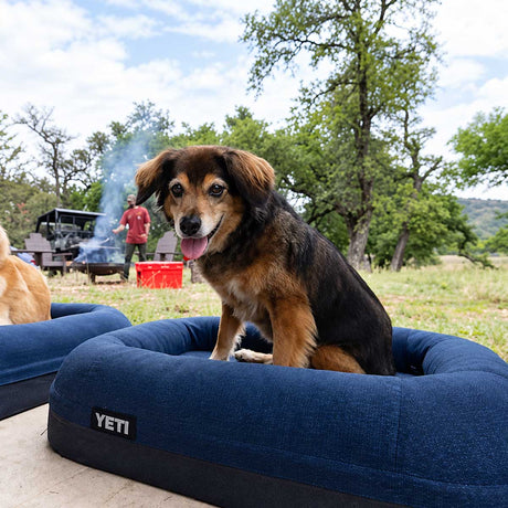 YETI Boomer Dog Bed - Navy