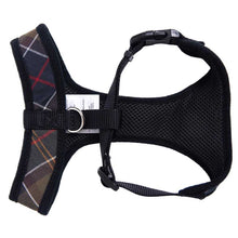 Load image into Gallery viewer, BARBOUR Dog Harness - Classic Tartan
