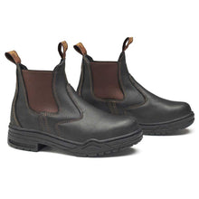 Load image into Gallery viewer, MOUNTAIN HORSE Protective Jodhpur - Brown
