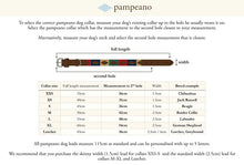 Load image into Gallery viewer, Pampeano Dog Collar Size Guide
