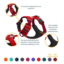 Load image into Gallery viewer, RUFFWEAR Front Range Dog Harness - Campfire Orange
