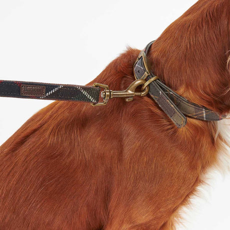BARBOUR Classic Dog Lead - Tartan