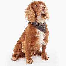 Load image into Gallery viewer, BARBOUR Dog Bandana - Classic Tartan
