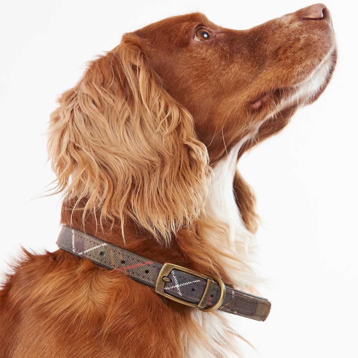 BARBOUR Dog Collar - Leather - Classic Tartan