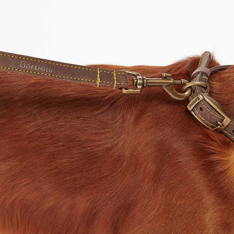 BARBOUR Dog Leather Lead - Brown